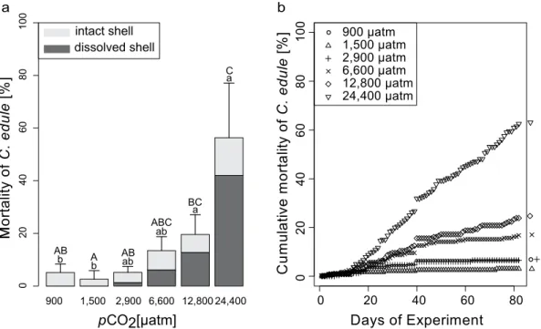 Figure 3.  Cumulative mortality of different C. edule size classes during the experiment plotted for each  treatment