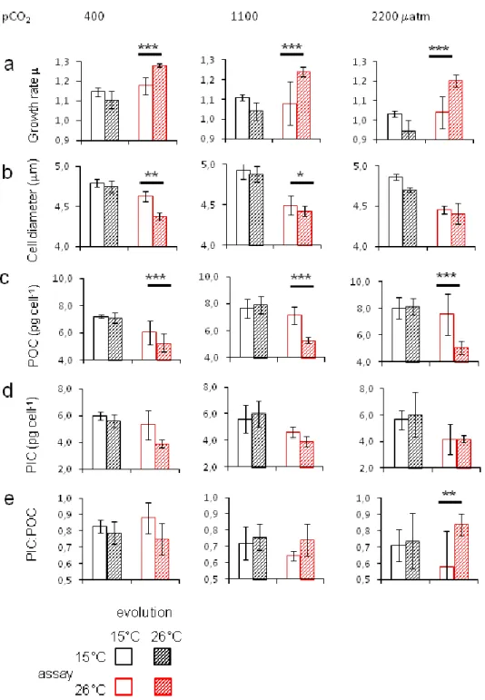 Figure  2.  Evolutionary  adaptation  in  Emiliania  huxleyi  after  one  yr  of  temperature  selection  (26.3  vs