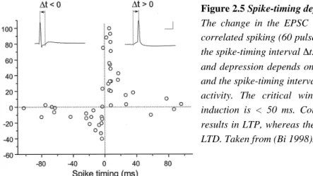 Figure 2.5 Spike-timing dependent plasticity The change in the EPSC amplitude after repetitive correlated spiking (60 pulses at 1 Hz) plotted against the spike-timing interval t