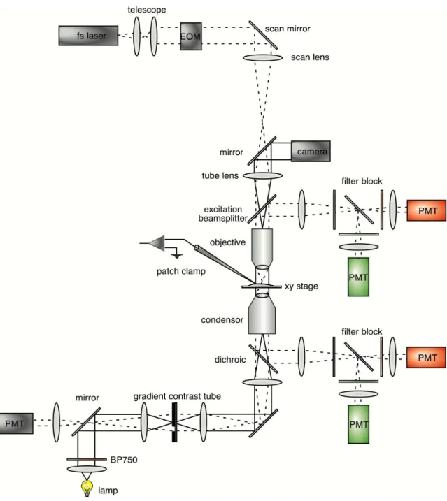 Figure 3.4 Experimental setup