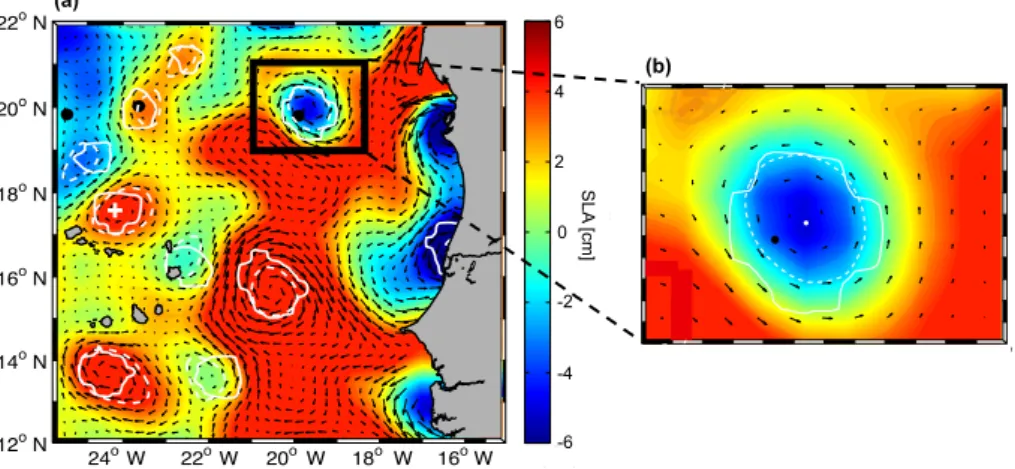 Figure 4. Snapshot of the SLA for 22 December 2010, with the results of the eddy-detection methods: OW method (solid white line) and the GEO method (dashed white line) with geostrophic velocities superimposed (black arrows)