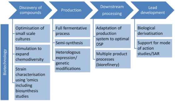Figure  1.  Biotechnological  approaches  at  different  steps  of  the  process  chain  for  developing  antibiotics from marine fungi. Abbreviations: SAR, structure‐activity relationship; DSP, downstream  processing. 