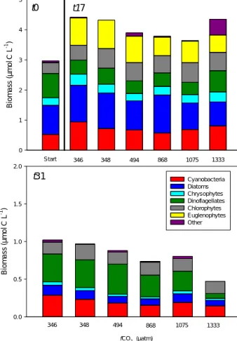 Figure 1. The main phytoplankton groups at the start of the exper- exper-iment, t0, and t17 (upper panel) and t31 (lower panel)