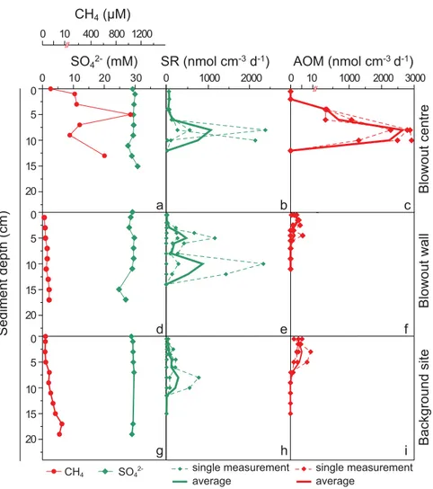 Fig. 4. Sediment geochemical profiles and rate measurements from the bottom of the blowout crater (a–c), blowout wall (d–f), and background site 50 m away from the blowout (g–i)