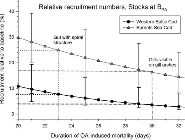 Fig 3. Population recruitment under ocean acidification (OA) for Western Baltic cod (black line and symbols) and Barents Sea cod (grey line and symbols)