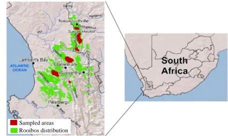 Figure 2 Map of the rooibos distribution range and areas sampled in  the present study (Western and Northern Cape, South Africa)