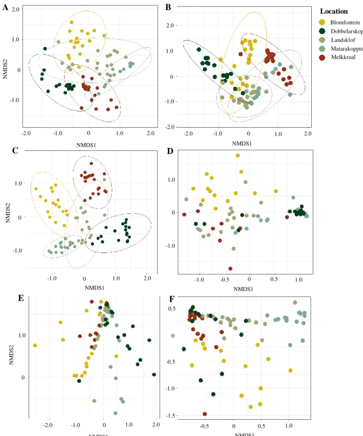 Figure 5 Non-metric multidimensional scaling (NMDS) of Bray-Curtis dissimilarities between the root nodule community structures  from pools of root nodules of single rooibos plants grown in soil from five locations/farms for eight months