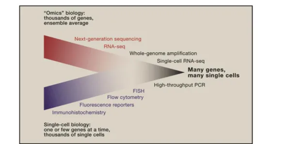Fig. 2.3 Convergence of ‘‘Omics’’ Biology and Single-Cell Biology. Technology that allows researchers to obtain genome-wide information from single cells is extending the boundaries of a field that has thus far been limited to the analyses of a select gene