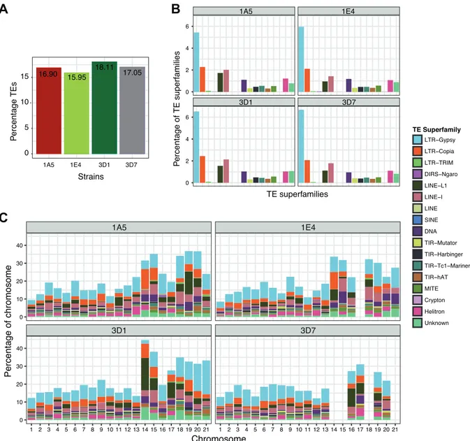 Figure  1:  TE  composition  of  the  completely  assembled  genomes  of Zymoseptoria  tritici