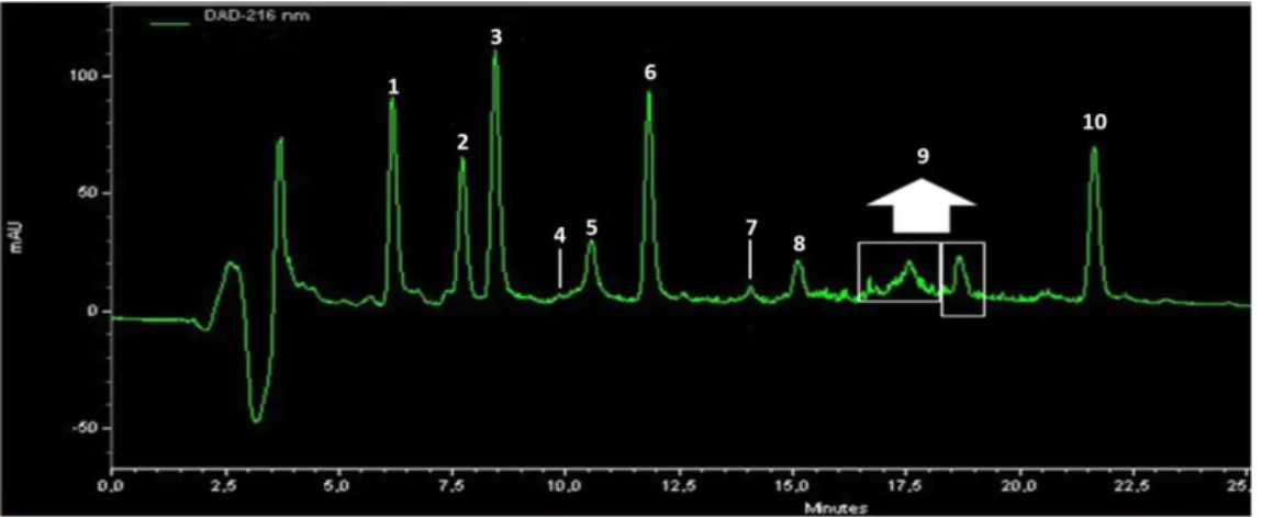 Figure 3-4. The semi-preparative HPLC chromatogram of   crude supernatant extract of 2 nd  &amp; 3 rd  combined 20 L culture