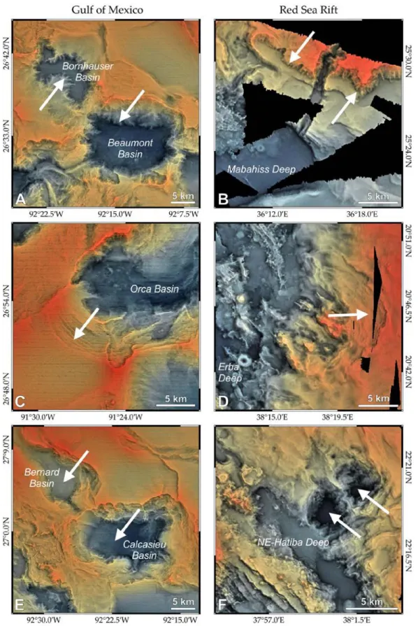 Figure 11. Terrain texture shaded bathymetric maps using technique described [23]. Potential  submarine salt karst structures compared  in blankets of allochthonous salt from the Gulf of  Mexico (left column) and the Red Sea (right column)