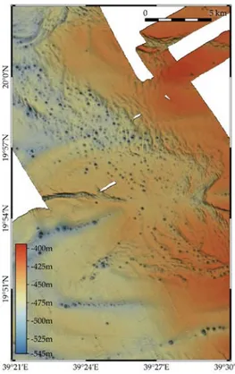 Figure  12. Mutibeam bathymetry of a shallow pockmark field in the continental margin of  eastern Red Sea that may represent the surface expression of submarine salt karst due to rising  fluids dissolving salt beneath local subsidence features on the seafl