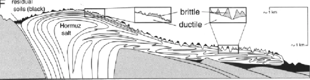 Figure 4. Cartoon indicating that the thicknesses of both the surficial de-stressed carapace and  the topographic relief increase downslope as the surficial salt has been on the surface for  longer the further it is carried downslope (from figure 7F in ref