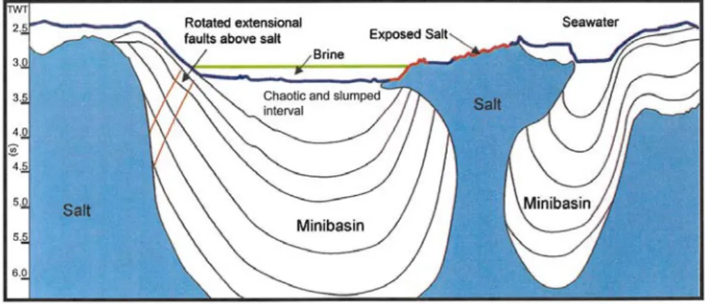 Figure 7. W-E profile across the Orca basin with 5 times vertical  exaggeration along black line in Figure 6 (from figure 4 in [12])
