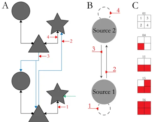 Figure  10|  Connectivity  structure  and  model  space  for  simulations.  A)  Microscopic  connectivity pattern