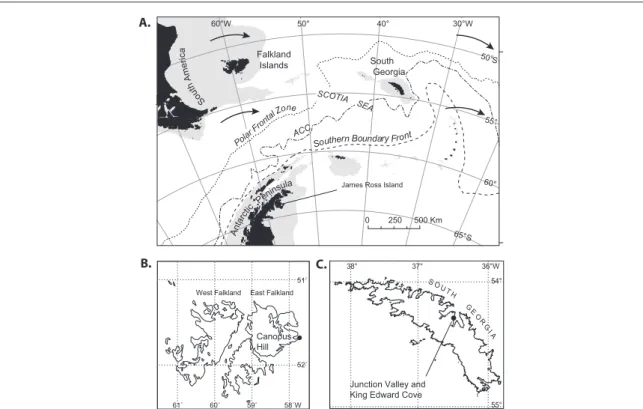Figure 1. Location of the Falkland Islands and South Georgia in the South Atlantic Ocean with mean locations of the Polar and Southern boundary fronts ( dashed lines ) , the continental shelf ( grey areas ) and prevailing westerly air ﬂ ow ( solid arrows )