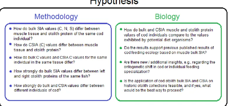 Figure  7.  Hypotheses  of  this  study  presented  as  questions.  This  thesis  consists  of  two  sub-parts:  methodology  and  biology