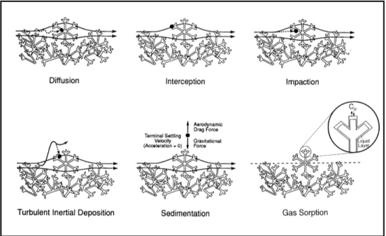 Figure 2.3: Illustration of dry deposition mechanisms for particles to snow; from [David- [David-son et al., 1996].