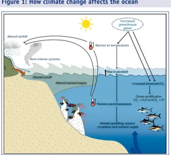 Figure 1: How climate change affects the ocean