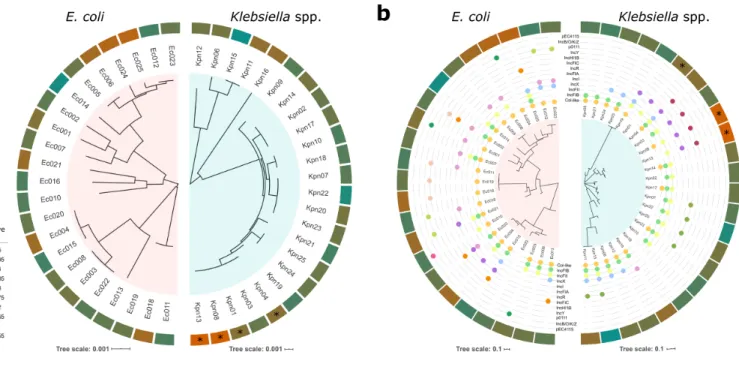 Figure 4. Fitness effects of pOXA-48 across bacterial genome content. An association was found 217 