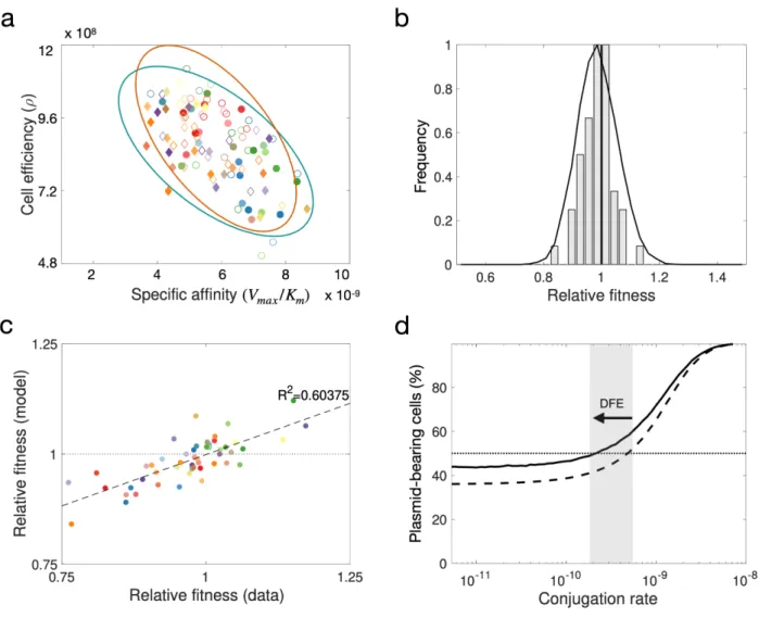 Figure 5. Modelling the DFE for pOXA-48. (a) Distribution of parameter values obtained using Bayesian 265 