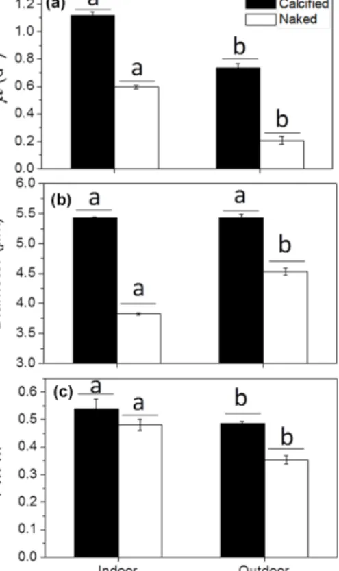 Figure 2. The specific growth rate (µ) (a), diameter (b) and maxi- maxi-mum quantum yield (c) of PSII (F v /F m ) of the calcified and naked cells of E