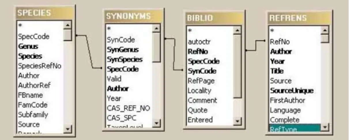 Figure 2.6. Data structure for proper linking of publications and species. The BIBLIO table gives  the page number from which the information has been extracted, and the SYNONYMS table links  the scientific name used in the publication to the currently val