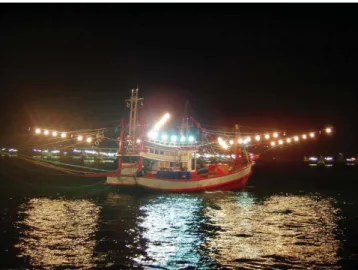 Figure 48. A falling net boat participating in squid light luring fishery for loliginid squid in Thailand.