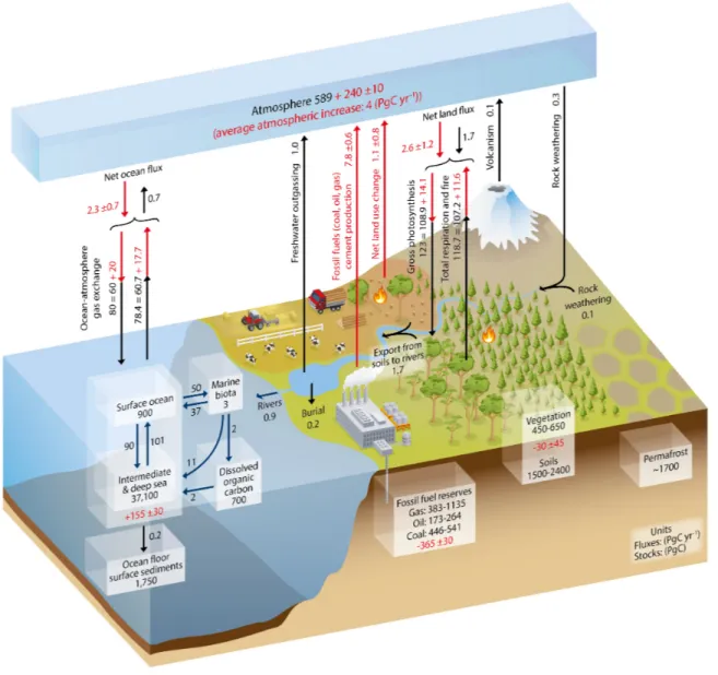 Figure 2: Simplified schematic of the global carbon cycle. Numbers represent reservoir mass in Pg C and annual carbon exchange fluxes (in Pg C yr -1 )
