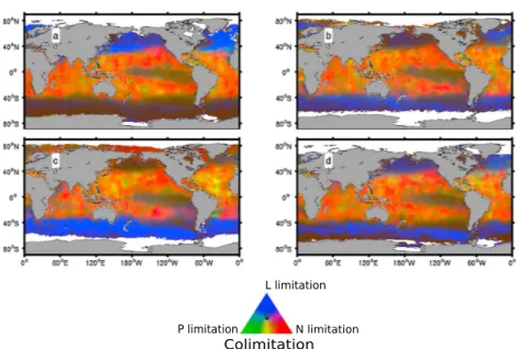 Figure 4. Diagnosed seasonal oceanic N, P, and light colimitation of marine phytoplankton