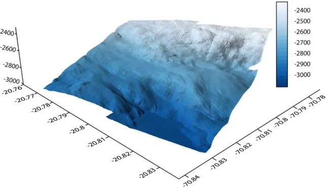 Abbildung  1:  Ansicht  von  SW  auf  das  aus  AUV-Kartierungen  berechnete  digitale  Höhenmodell des Kartiergebietes 1 mit ca