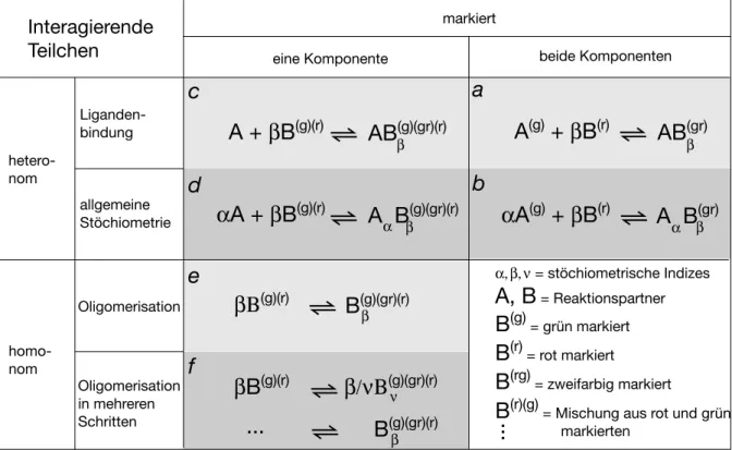 Tabelle 3.1 Einteilung möglicher Bindungsreaktionen im Zwei-Farben-Ansatz. Die Versuchsansätze  wurden danach klassifiziert, ob beide oder nur einer der Reaktionspartner markiert werden können