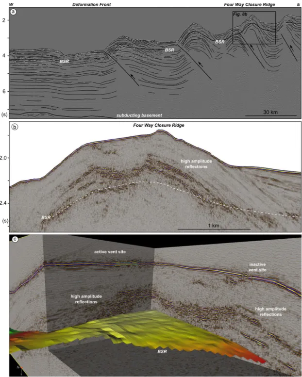 Abb. 4: Hochauflösende 3D seismische Daten vom Four-Way Closure Rücken zeigen die hohen  seismischen Amplituden oberhalb des BSR, der der Unterkante der Gashydratstabilitätszone  entspricht