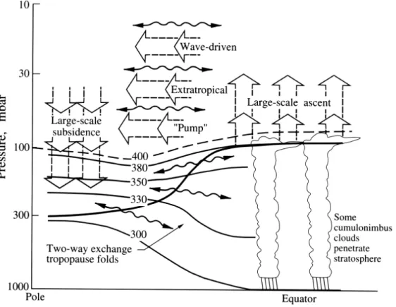 Abbildung 2.3: Brewer-Dobson-Zirkulation: ¨ Ubersicht ¨ uber die stratosph¨ arischen Transportmechanismen; Abb