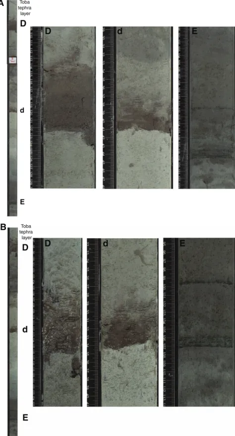 Figure F16. Toba Tephra layers D, d, and E in (A) Holes U1443A and (B) U1443B. D d E D d EAtephra Toba layer D d E D d EBtephra Toba layer