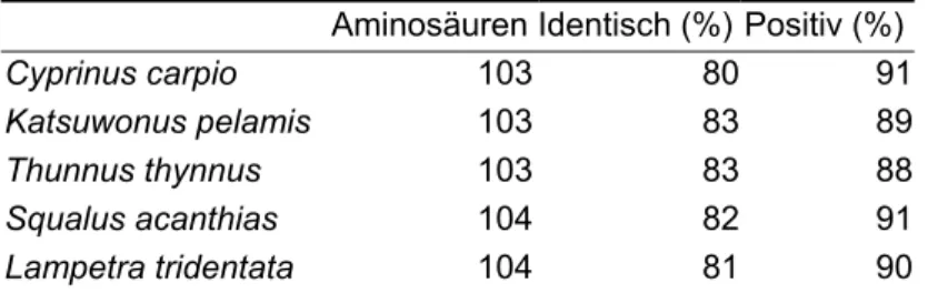 Tabelle 3.2.6-1: Cytochrom c in verschiedenen Fischarten und Vergleich der Sequenzähnlich- Sequenzähnlich-keiten in Bezug zum Cytochrom c aus der Maus 