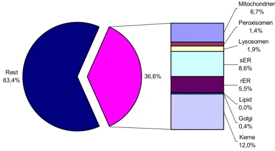Abbildung 3.2.7-1: Prozentualer Anteil der vermessenen Organellen an einer Gesamtfläche von  10 µm 2  in Kontrollhepatocyten nach 4 Tagen in Kultur