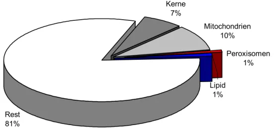 Abbildung 3.6-1: Prozentualer Anteil der morphometrisch erfassten Organellen in Bezug auf  eine Gesamtfläche von 10 µm 2  in Kontrollzebrabärblingen