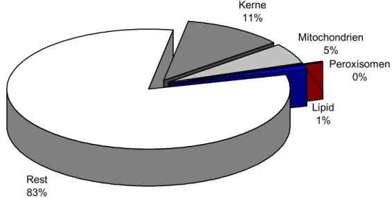 Abbildung 3.6-2: Prozentualer Anteil der morphometrisch erfassten Organellen in Bezug auf  eine Gesamtfläche von 10 µm 2  in Zebrabärblingen, die über 6 Monate mit 0,05 % DMSO  be-lastet wurden