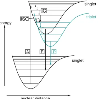 Fig. 2.4: Decay mechanisms of a diatomic molecule after optical excitation. After absorption of a photon (A) the chromophore undergoes a singlet → singlet state transition