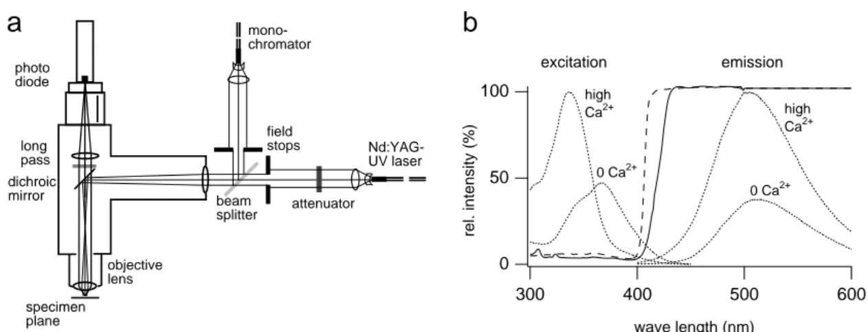 Fig. 3.3: Epifluorescence illumination and spectra of dichroic mirrors and Ca 2+