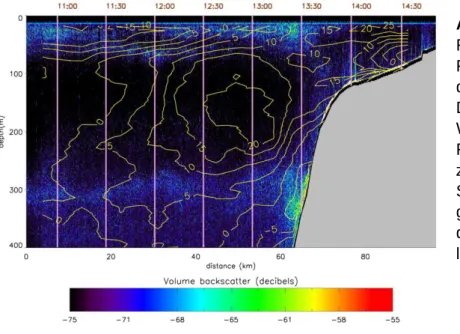 Abb.  3:  Amplitude  des  Rückstreusignals  des  Fächerecholots (EM122) in  der  Wassersäule  in  Dezibel  (Farben)
