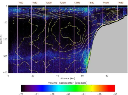 Fig.  3:  Strength  of  volume  backscatter  signal  of  the  deep  water  multi-beam  echo  sounder  (EM122)  in  decibel  (color)
