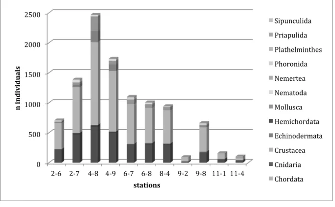 Figure 7-3: Presence/absence data of taxa pooled for all stations of the Vema Fracture zone