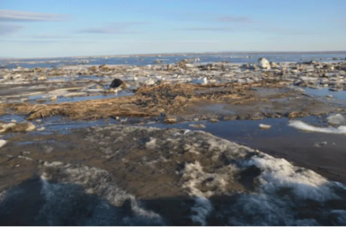 Figure 10. Ice on the sands of Sistyakh-Ariyta Island after a flood (photo by I. Fedorova).