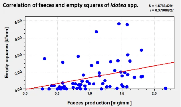 Figure 11 Correlation of faeces and empty squares of Idotea spp. 