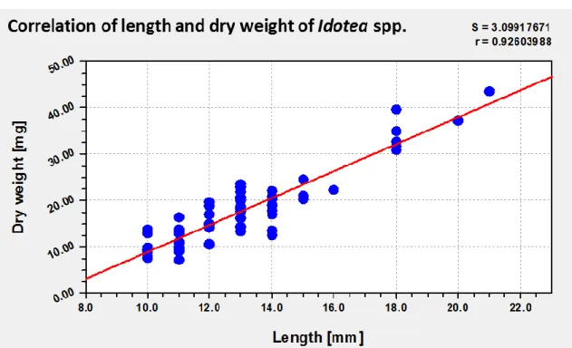 Figure 13 Correlation of length and dry weight of Idotea spp. 