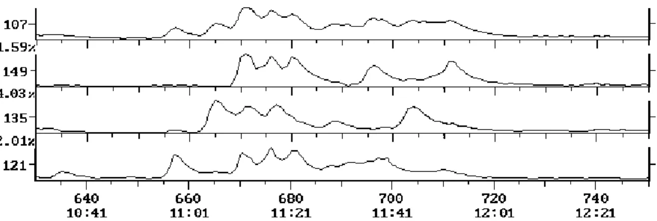 Abbildung 11: schlecht getrennte Peaks der Nonylphenol-Isomeren mit Tailing bei nicht derivatisierter Messung