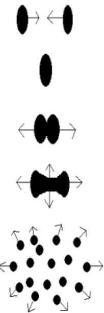 Figure 1.2: Schematic drawing of an heavy ion collision.