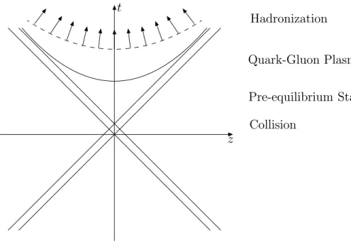 Figure 1.3: Space-time diagram of the evolution of an heavy ion collision.